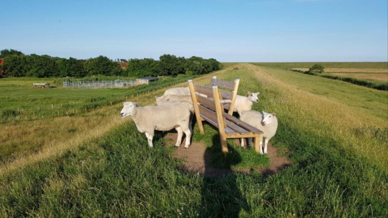 Deichgraf - Hedwig Meine Perle Apartamento Hedwigenkoog Exterior foto